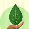 Feuille verte en main d’un jardinier